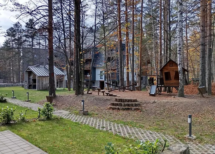 Pahuljica Divcigora * Divčibare